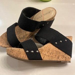 Sole society wedge sandals. Never worn! Bought from Nordstrom.
